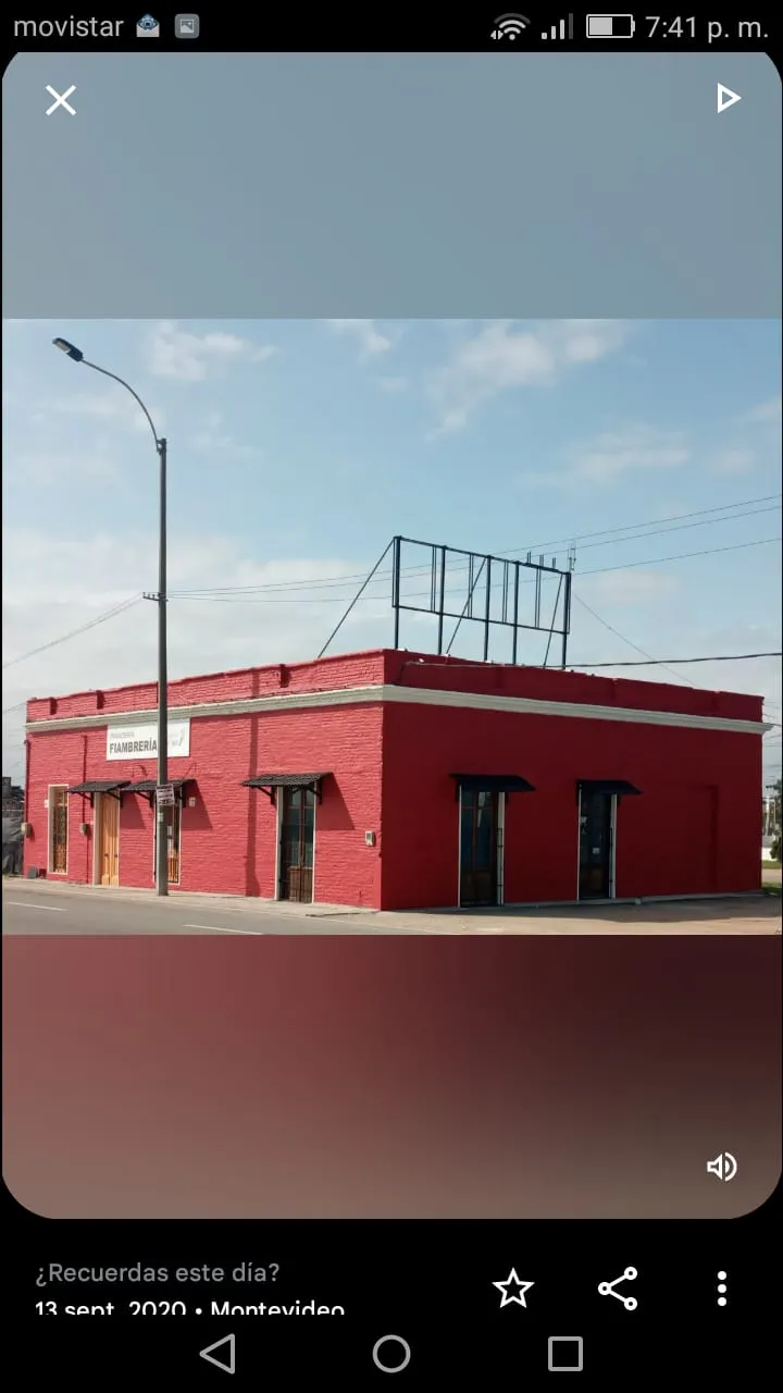 Trabajo de pintura realizado por MG Construcciones (foto 9)